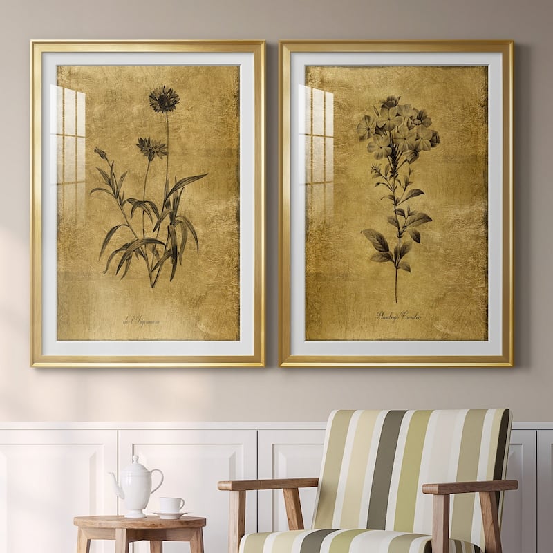 Gold Sketch Botanical I Premium Framed Print - Ready to Hang