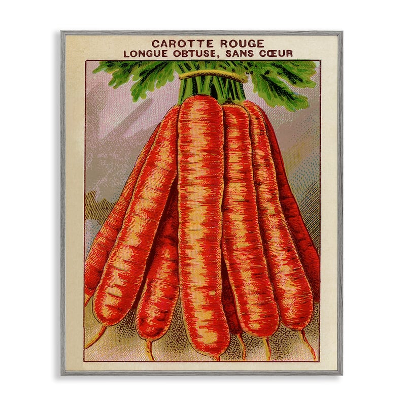 Stupell Country Vintage Carrots Framed Giclee Art Design By Lil' Rue - 16 x 20 - Grey