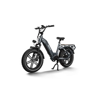 Himiway Big Dog 750W Electric Cargo Bike Upgraded E-Bike for