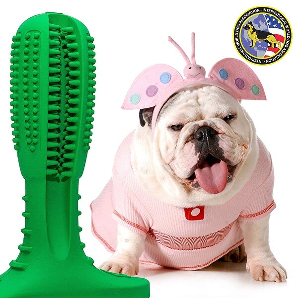 buy dog toothbrush