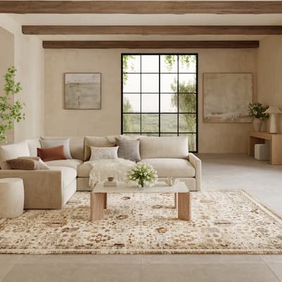 Nourison Pardis Indoor only Cream / Ivory Persian Area Rug