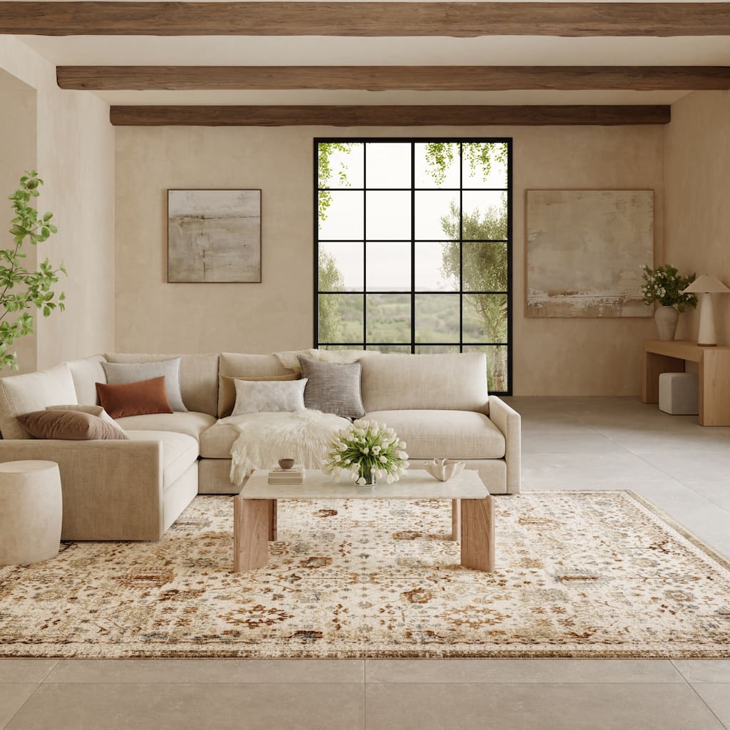 Nourison Pardis Indoor only Cream / Ivory Persian Area Rug