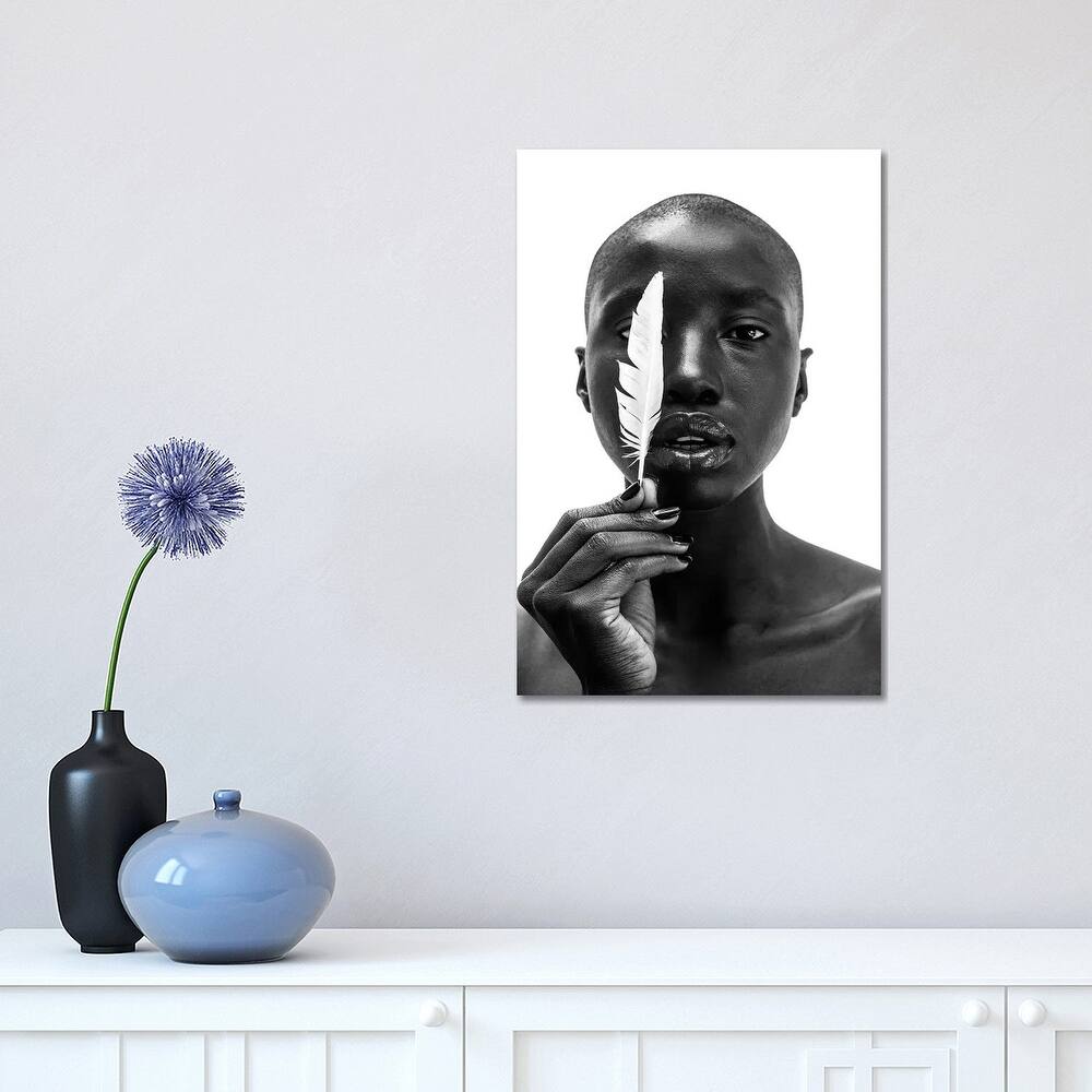 iCanvas "White Feather" by Gregory Prescott Canvas Print