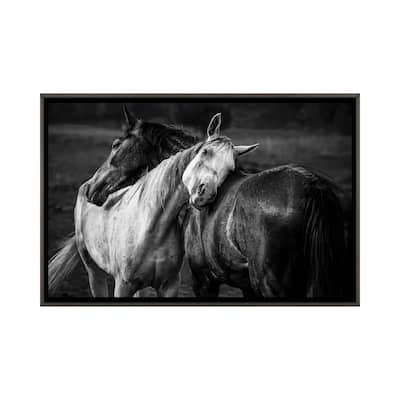iCanvas "Warm Rain" by Niko Chapa Framed