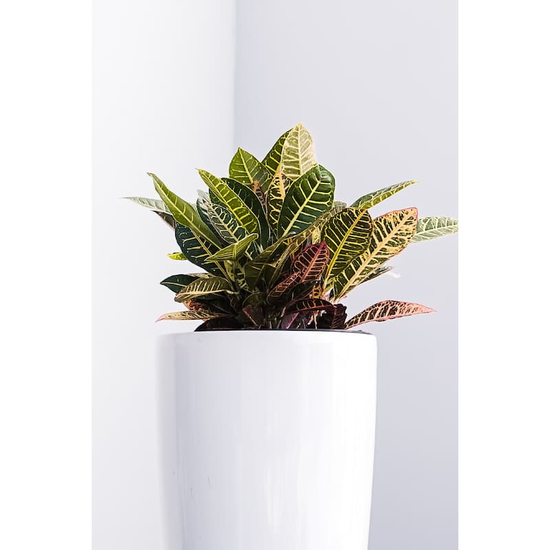 XBrand 29.5" H Plastic Self Watering Indoor Outdoor Tall Round Planter Pot, Decorative Gardening Pot, Home Décor Accent