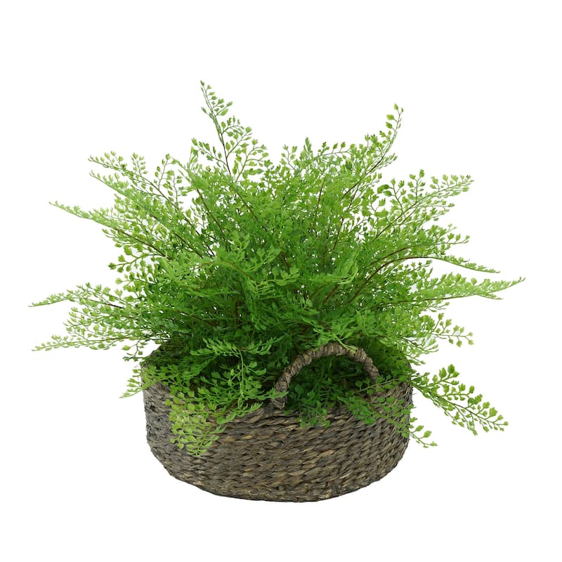 Faux Maidenhair Fern in Seagrass Tray Basket
