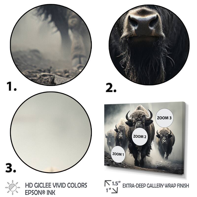 Designart "Grey Buffalo Gentle Guardians I" Animals Wall Art Prints