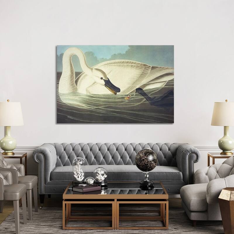 iCanvas "Trumpeter Swan II" by John James Audubon Canvas Print