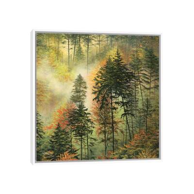 iCanvas "Northwest Glory" by ColorByFeliks Framed Canvas Print