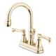 Option Polished Brass