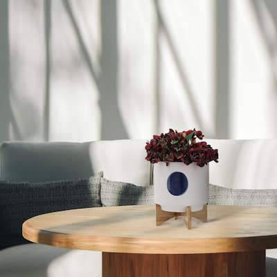 10-inch Funky Planter W/ Wood Stand, White