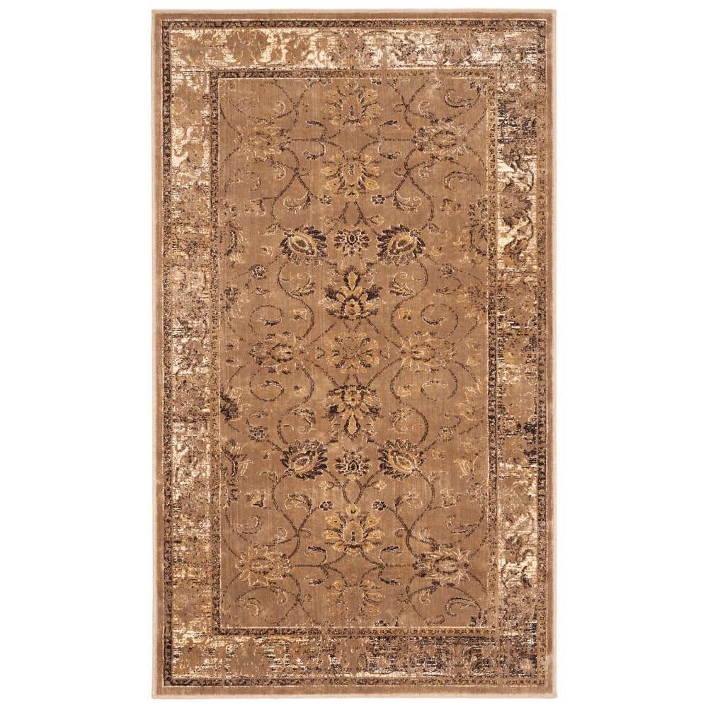 SAFAVIEH Helve Vintage Distressed Boho Oriental Area Rug