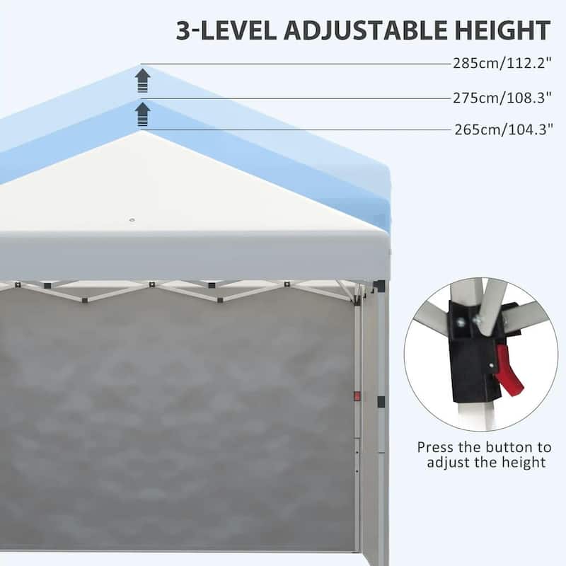 10'x10' Pop Up Canopy Tent with 3 Sidewalls,Leg Weight Bags,Carry Bag
