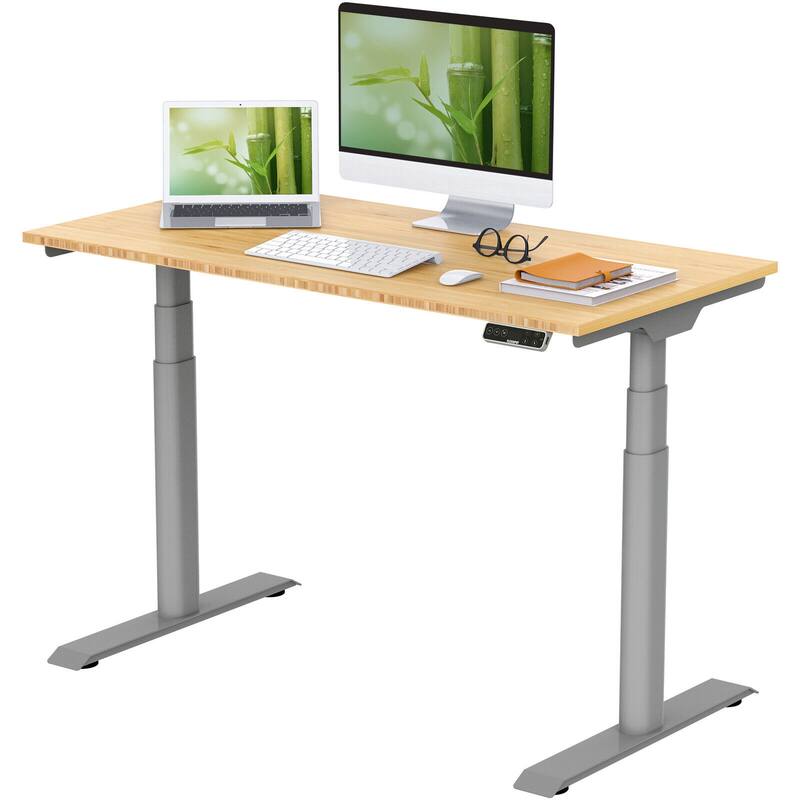 FLEXISPOT Home Office Height Adjustable Standing Desk 3-Stage Dual Motor Bamboo Rectangle Desktop