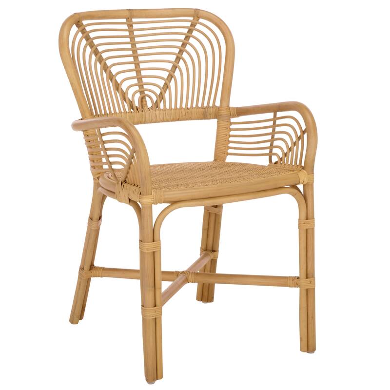 SAFAVIEH Home Rimma Rattan Arm Chair (Set of 2) - 22"W x 23"D x 36"H