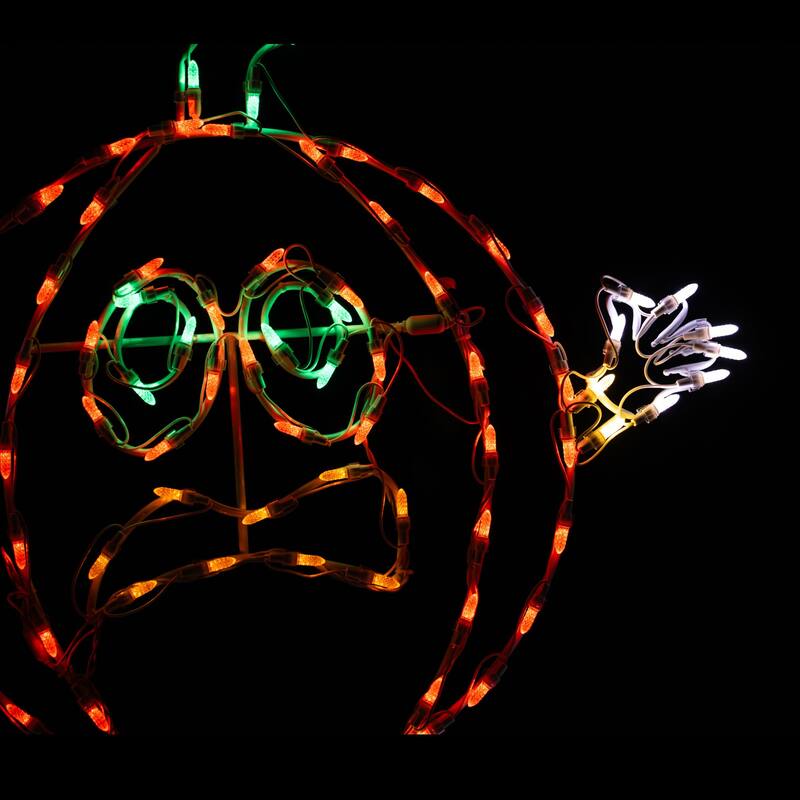 Halloween Lumi's Scared Pumpkin