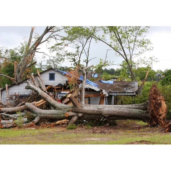 Shop Tornado Aftermath In La Grange Georgia April 27 2011 History Overstock 24362431