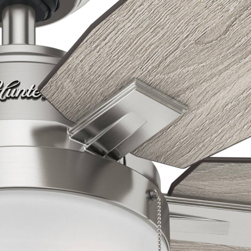 Hunter Morgantown Ceiling Fan with LED Light, Pull Chain - Transitional, Contemporary