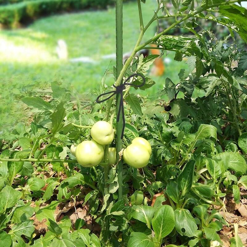 Agfabric 8ft. Fiberglass Poles Solid Garden Stakes Fence Post Heavy-Duty Plant Stakes for Tomatoes (20Pack) - 3/8"x8',20pack