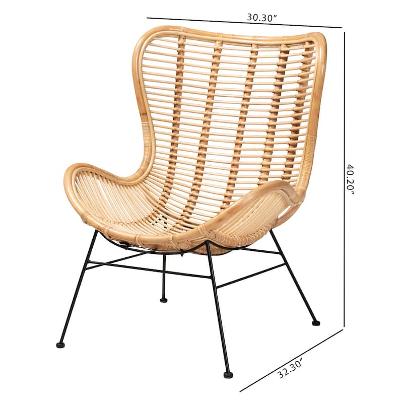 Colorado Modern Bohemian Natural Brown Rattan and Black Metal Accent Chair