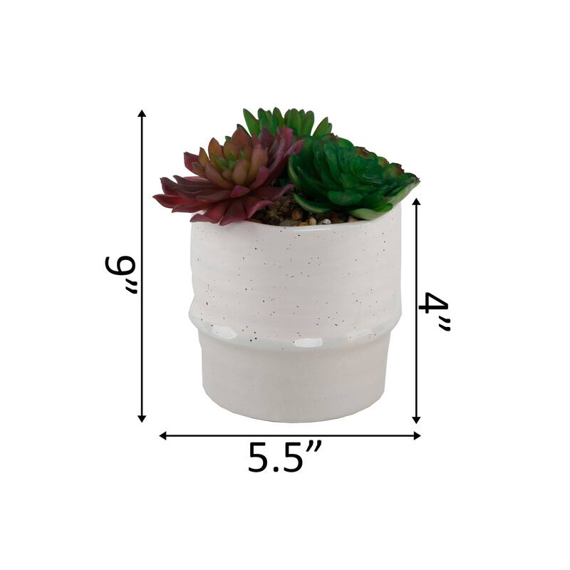 Artificial Plant Succulent Mix in Two Tone Ceramic Planter,Cream/Beige - ONE-SIZE