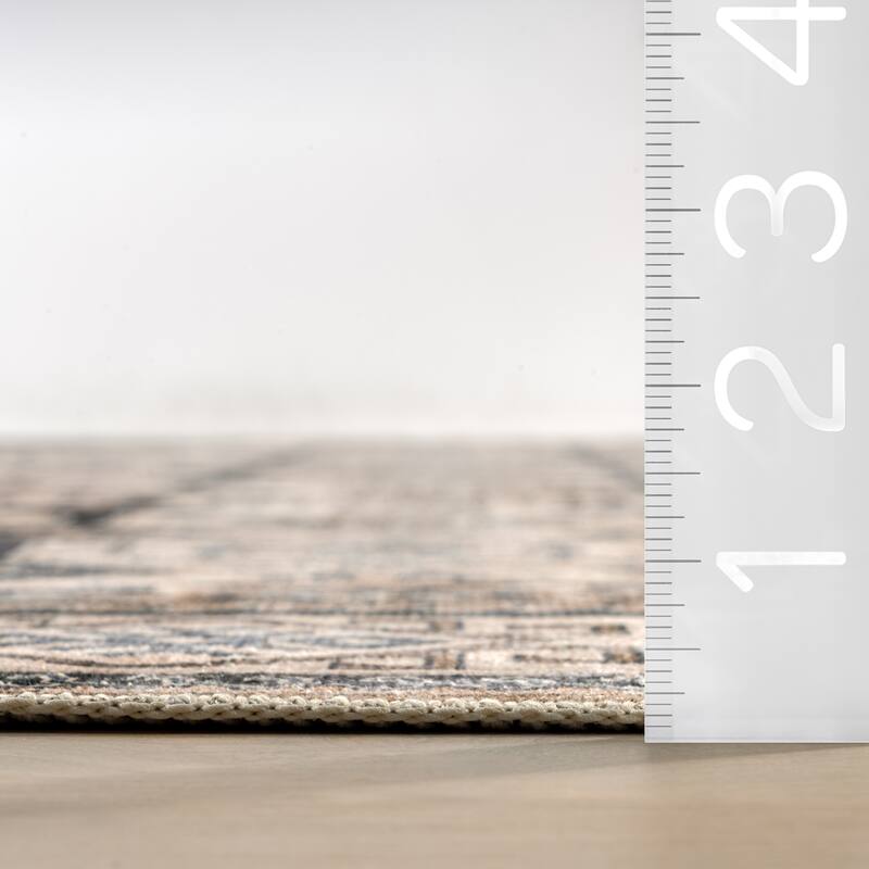 Nuloom Arisbeth SplashGuard Machine Washable Area Rug