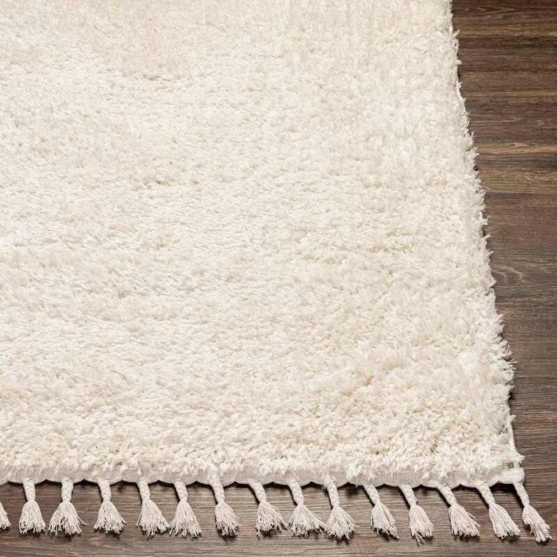 Artistic Weavers Breda Solid Boho Area Rug