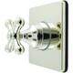 Option Polished Nickel