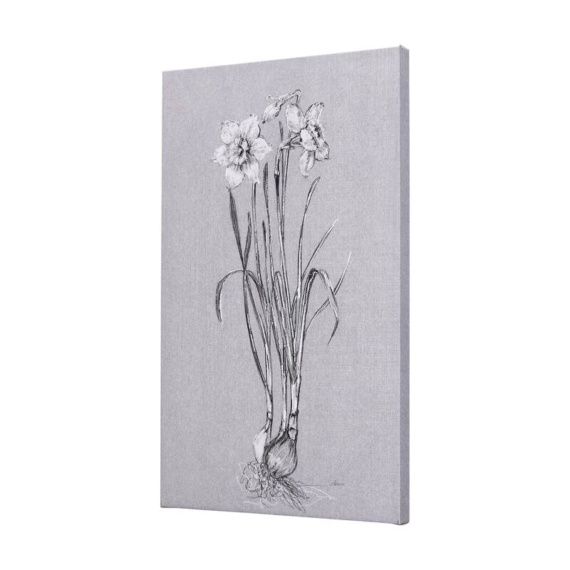 Botanical Sketches II (Grey) (21 x 35) Canvas Art Print