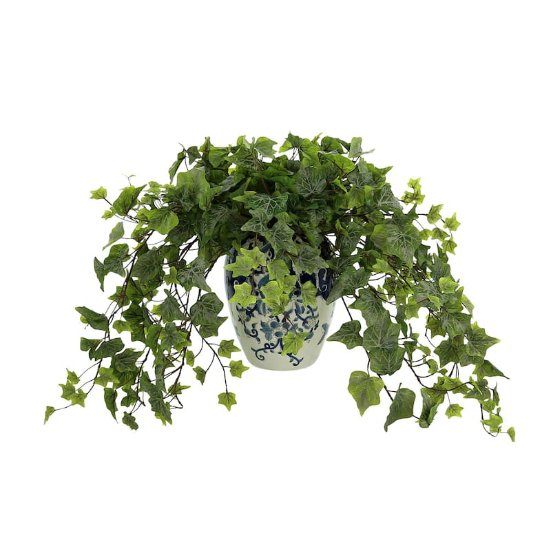 Ivy Plant in a Ceramic Vase - Green