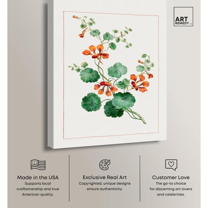 Nasturtium (1788) Canvas by Art Remedy, Gallery Wrapped