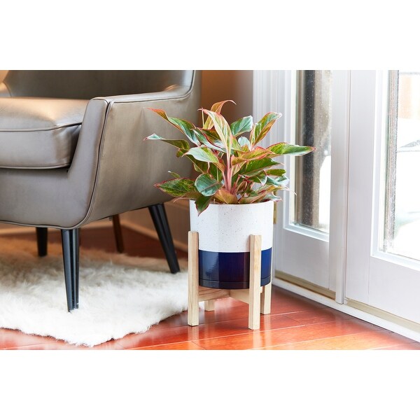 Southern Patio Henrietta Indoor Planter With Wood Stand