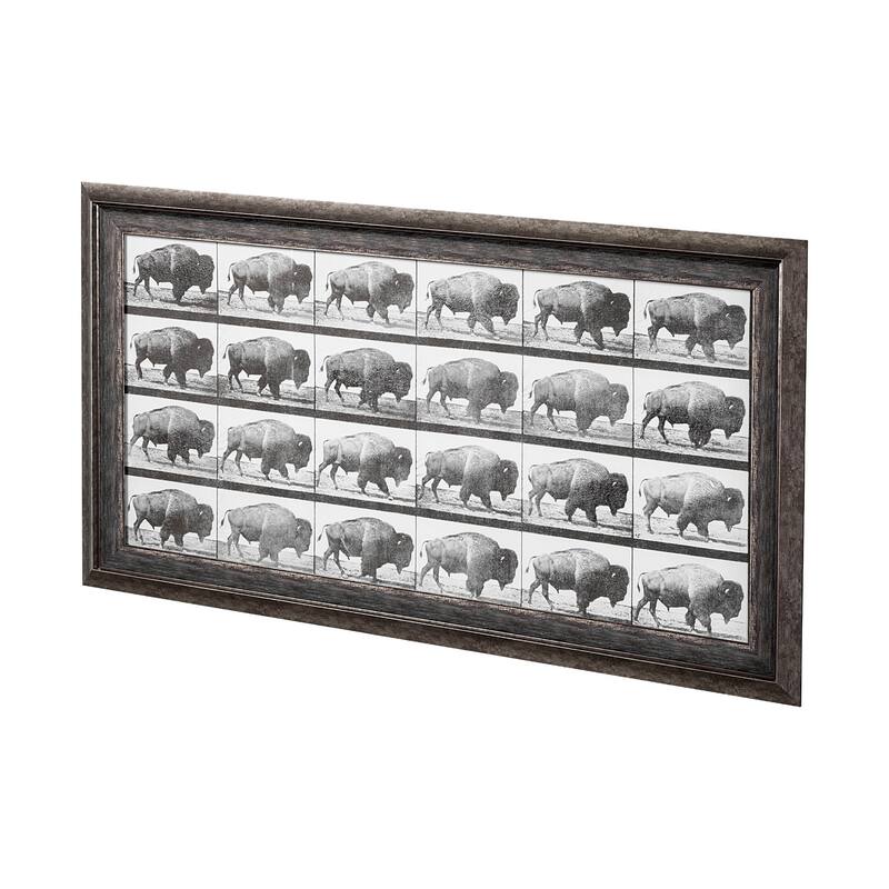 Buffalo Walking Framed Art Print