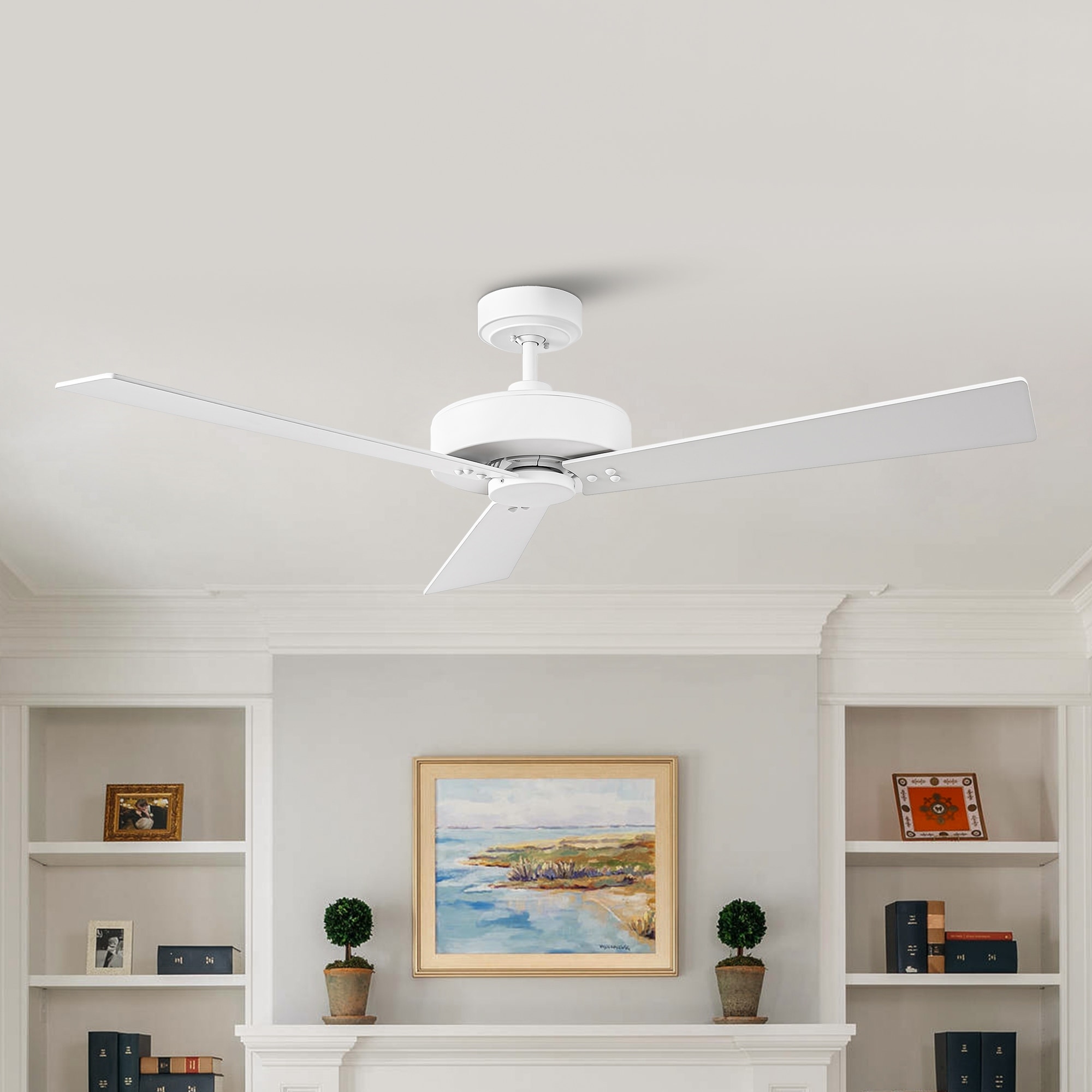 CARRO 3-Speed Slide AC Ceiling Fan Wall Switch, Light On/Off Rocker