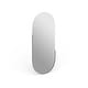 preview thumbnail 1 of 5, Dante Contemporary Oval Wall Mirror