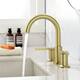 Option Brushed Gold
