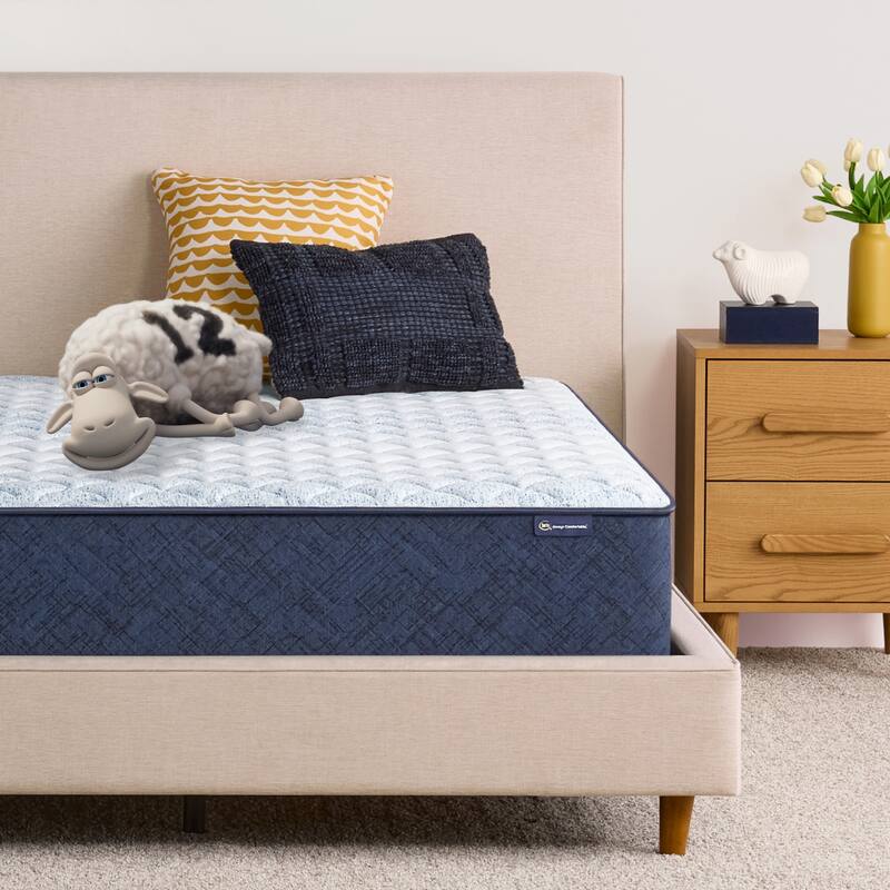 Serta Sleep to Go 12" Memory Foam Firm Mattress in a Box