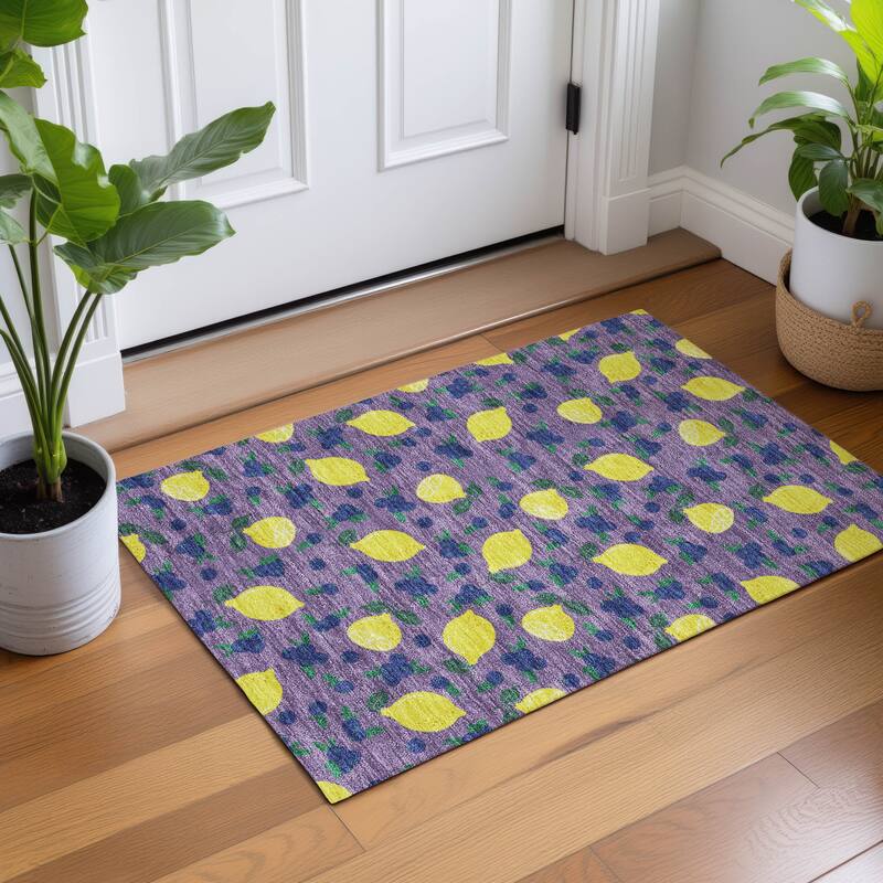 Machine Washable Indoor/ Outdoor Citrus Berry Chantille Rug
