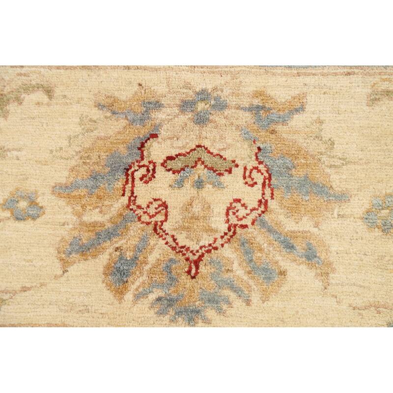 Vegetable Dye Floral Ziegler Oriental Wool Area Rug Handmade Carpet - 10'1" x 13'8"
