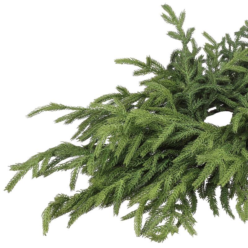 24" Just Cut Norfolk Pine Centerpiece by Valerie