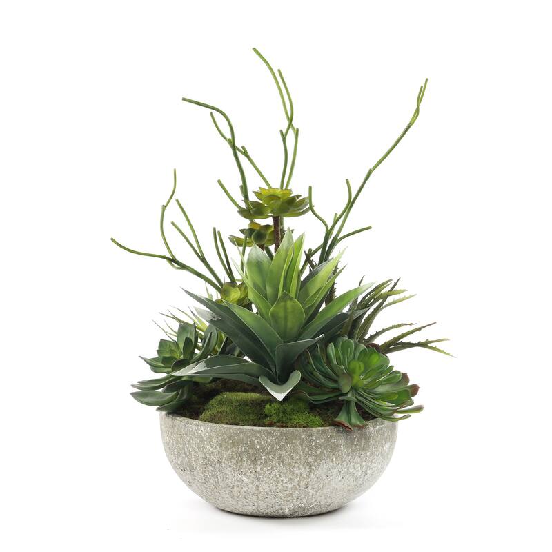 Faux Succulents & Agave Plant in Round Concrete Bowl - Green