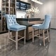 preview thumbnail 49 of 56, Set of 2 Contemporary Velvet Upholstered Barstools with Button Tufted Decoration Light Blue