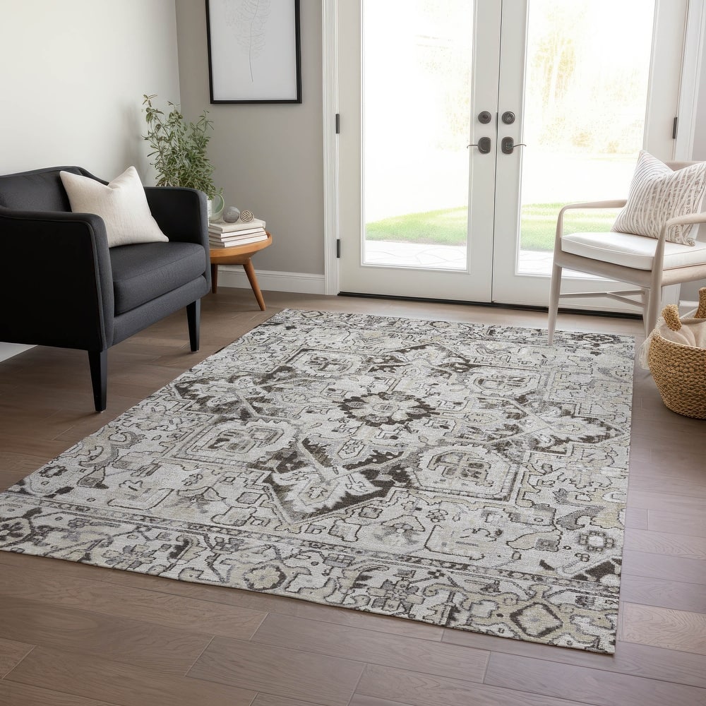 Machine Washable Indoor/ Outdoor Traditional Boho Chantille Rug