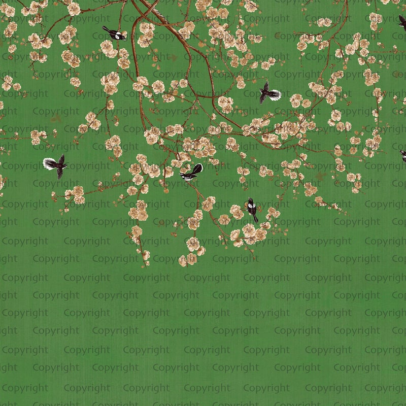 Blooming Cherry Blossoms Chinoiserie Wallpaper Mural - Green - W:204" x H:110"