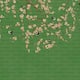 Option Green
