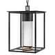 preview thumbnail 1 of 2, Hinkley Lighting 17022-LL Coen 1 Light 12" Wide Coastal Elements Black