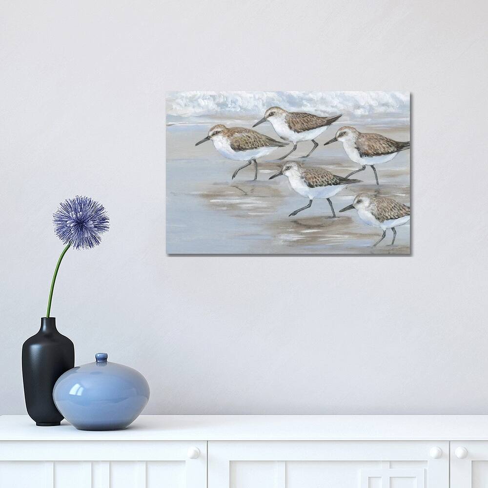 iCanvas "Sandpipers I" by Tim OToole Canvas Print