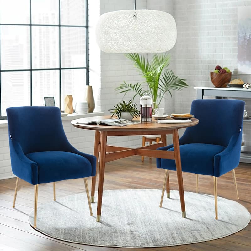 GZMR Upholstered Accent Dining Chairs Side Chairs (Set of 2)