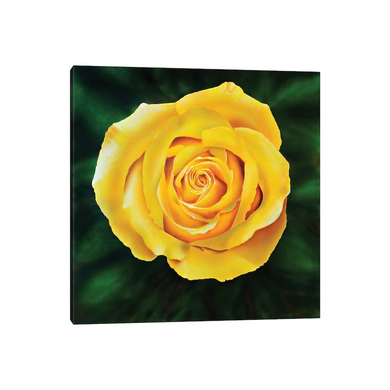 iCanvas "Yellow Rose" by John Salozzo Canvas Print