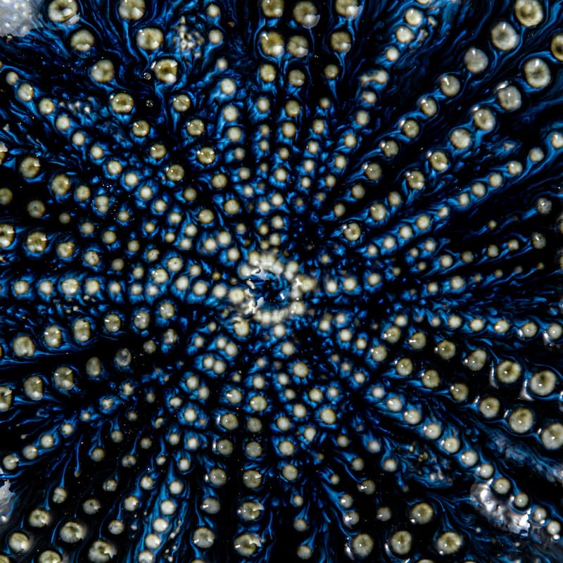 Stoneware Dish with Embossed Dots in Two Styles